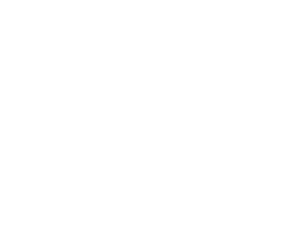 DreamMex Realty